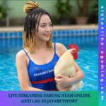 Live Streaming Sabung Ayam Online Anti Lag di Javabetsport