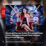 Panduan Pemain Poker Pro